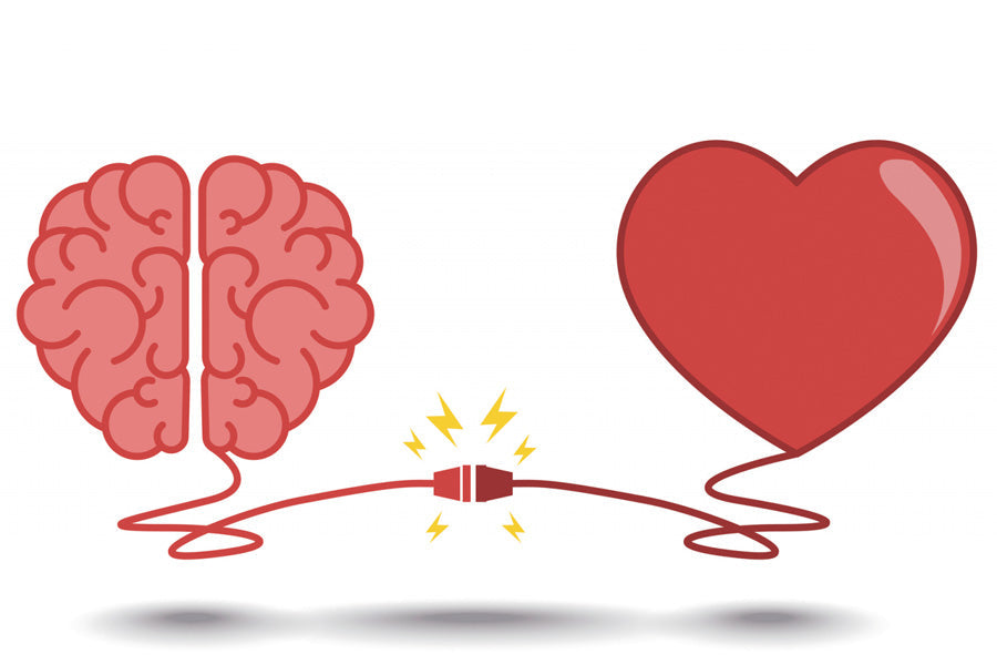 Gotu Kola for Your Brain and Heart