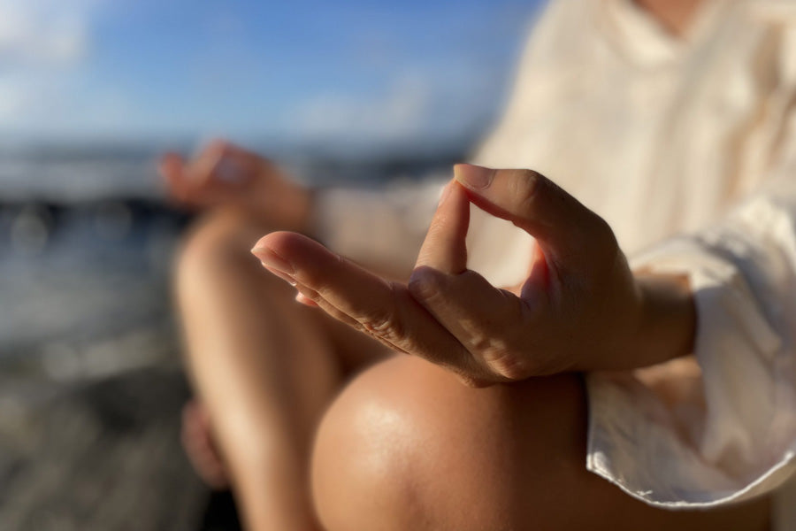 The Unique Ability of Adaptogens