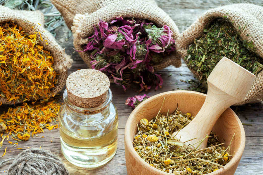 Adaptogens: Fine Tuning Your Stress Response