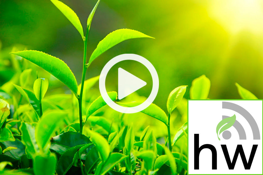 Listen to the HerbWorks Podcast!