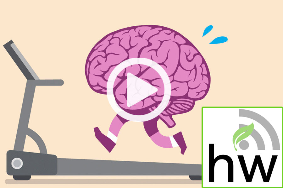 Podcast: Brain Basics…Keeping Your Brain Healthy