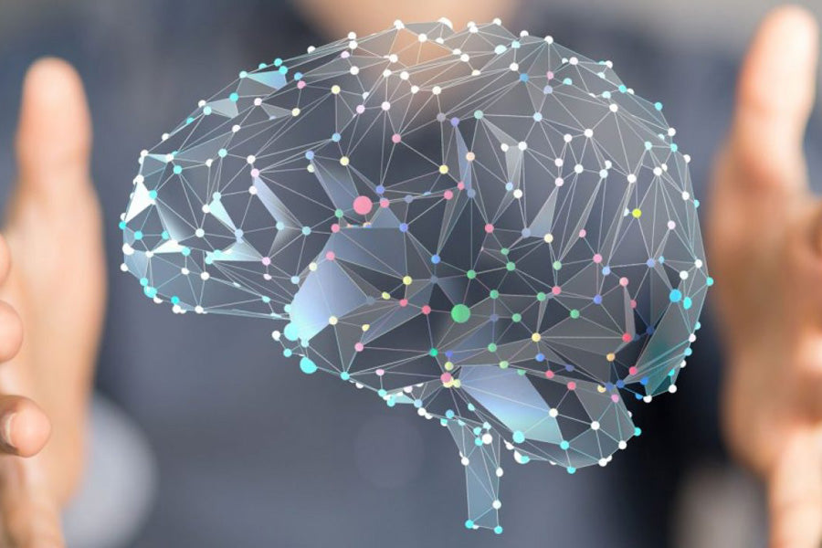 Protecting Your Brain Health