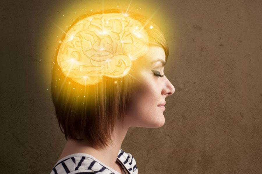 Protecting Your Brain with Herbs & Nutrients