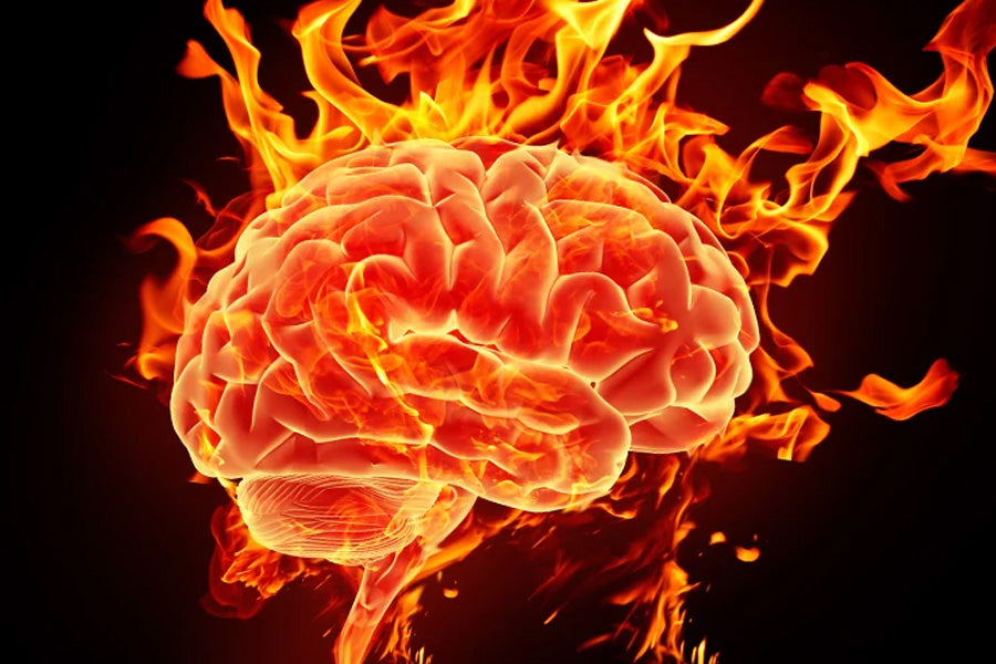 Reduce Inflammation in Your Brain